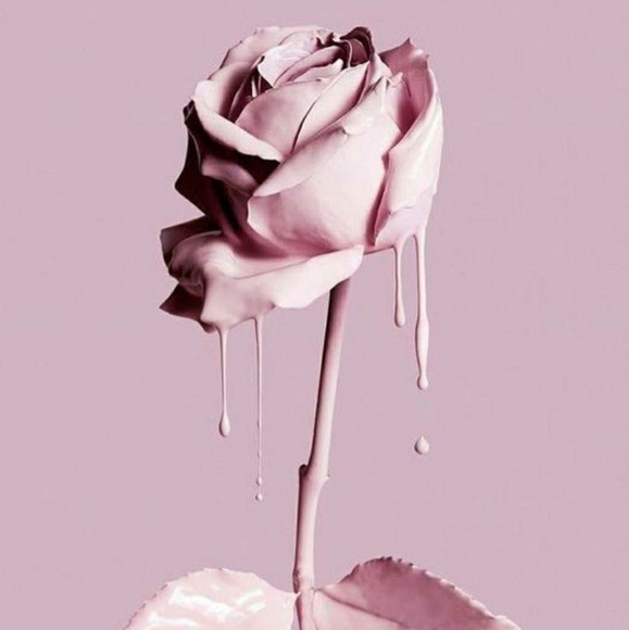 Meet your Posher, Terra - Picture 1 of 1